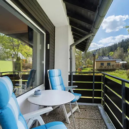 Schanze Willingen Apartment *